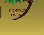 contact online